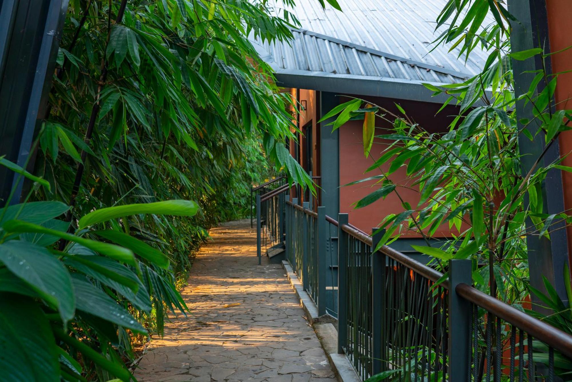 Vyna Hillock Resort And Spa Витири Екстериор снимка